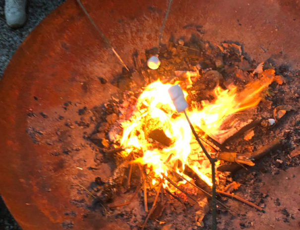 1A7565D4-DD71-4C9D-BF98-B9292E0B6CFD_1_105_c