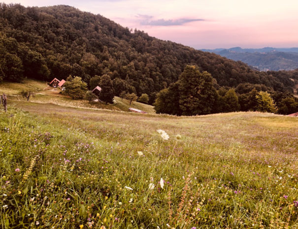 2CE08DC5-43D8-4604-9E58-CFD82FB4FF69_1_105_c