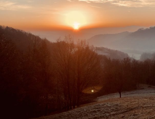 EFA54466-D952-409C-981F-E9527BDB5037_1_105_c