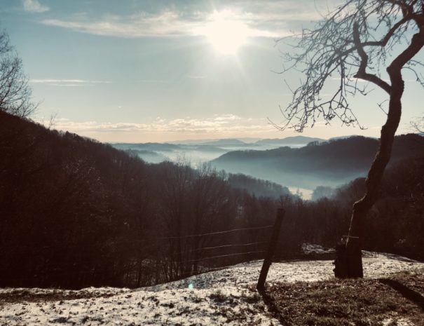 FCC38E4A-42AF-42C9-A021-09A10E9EC700_1_105_c